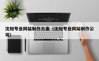焦作沈阳专业网站制作方案（沈阳专业网站制作公司）
